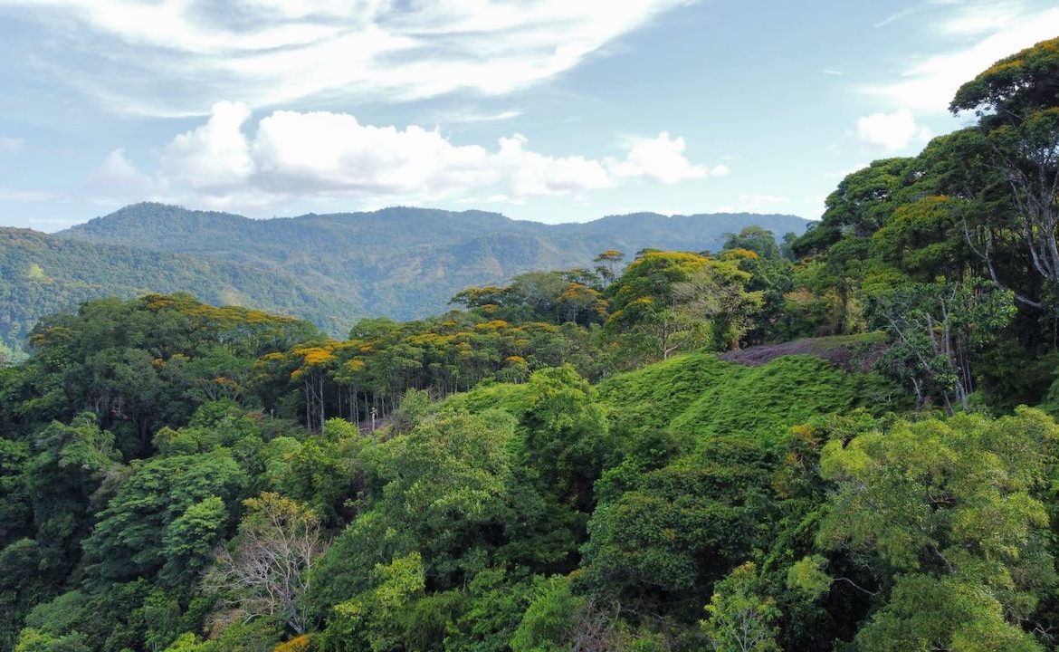 OCEAN VIEW LOTS IN UVITA MOUNTAINS STARTING AT $250K